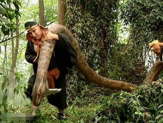 西游记|蟒蛇|四大名著_新浪新闻