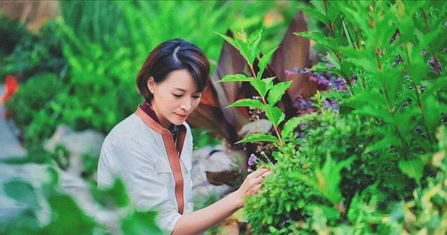 著名主持人"董卿"气质开挂,摩卡波波头搭配衬衫,美丽动人