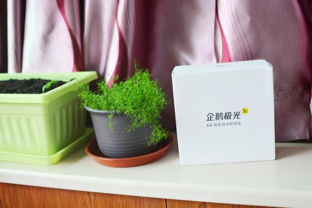 支持高清6k解码,ai人工智能语音,腾讯企鹅极光盒子1v闪亮登场