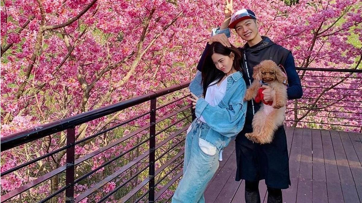 公开求婚曾之乔过程辰亦儒甜回9字闪瞎网友