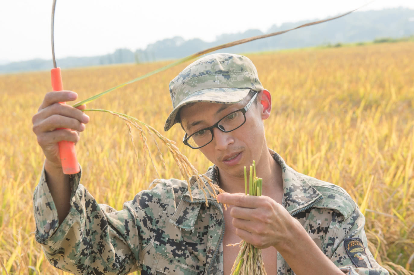 大学生返乡回家种田,被村民看不起父亲威胁,几年带领村名们致富