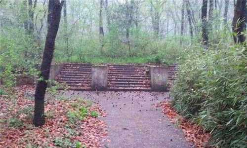 军统戴笠墓地尸首烧焦面目全非戴面具下葬7人挖了7天才挖开