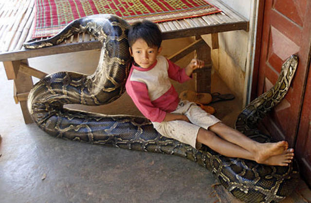 小男孩与大蟒蛇成朋友,看到最后让人猝不及防