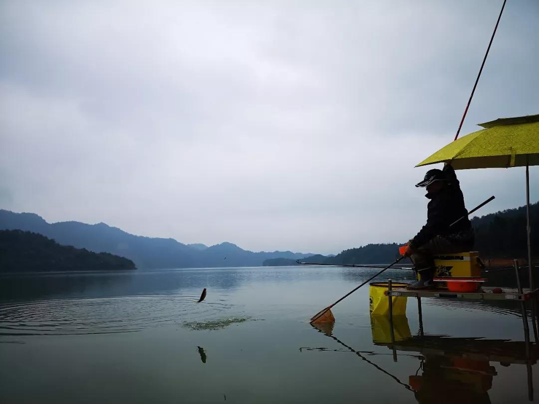 那些钓鱼高手到底高明在哪里