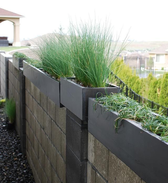 在农村,院子的水泥外墙不是墙,是主人脸面|院墙|院子|花盆_新浪新闻