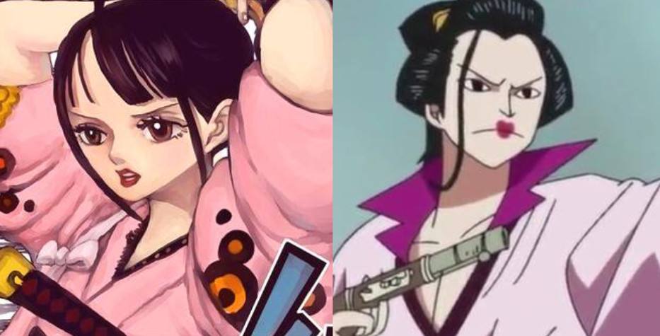 海贼王时夫人预言即将落空赤鞘九侠成八侠谁来补上这一角