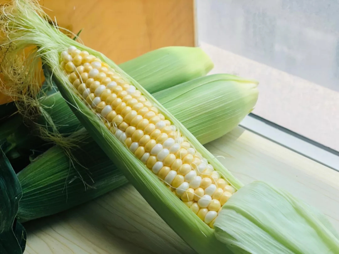 可以直接生吃的水果玉米,皮薄汁多,质脆清甜,你吃过吗?|玉米|水果玉米