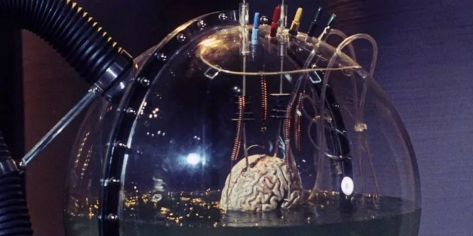 玻尔兹曼大脑为什么这么恐怖宇宙中或漂浮着无数个独立的意识体