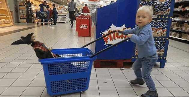 爸爸突发奇想让儿子一人去超市购物，他买的东西让人惊讶