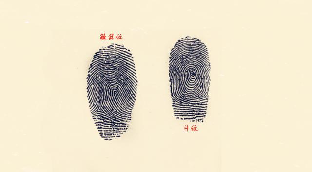 (10),9个斗(1个簸箕)