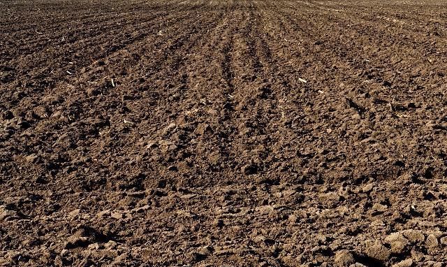 稻农最关心的问题,水稻适合种植在什么土壤上才能获得高产呢?