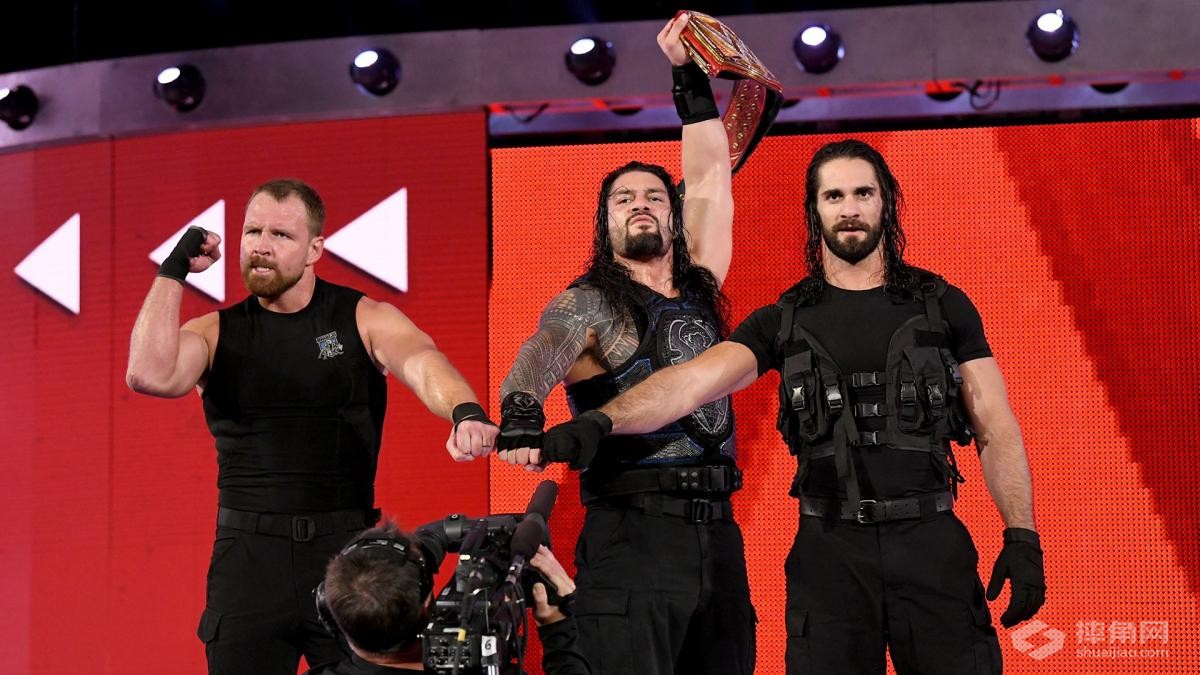 由你评选出最经典的wwe双打组合?