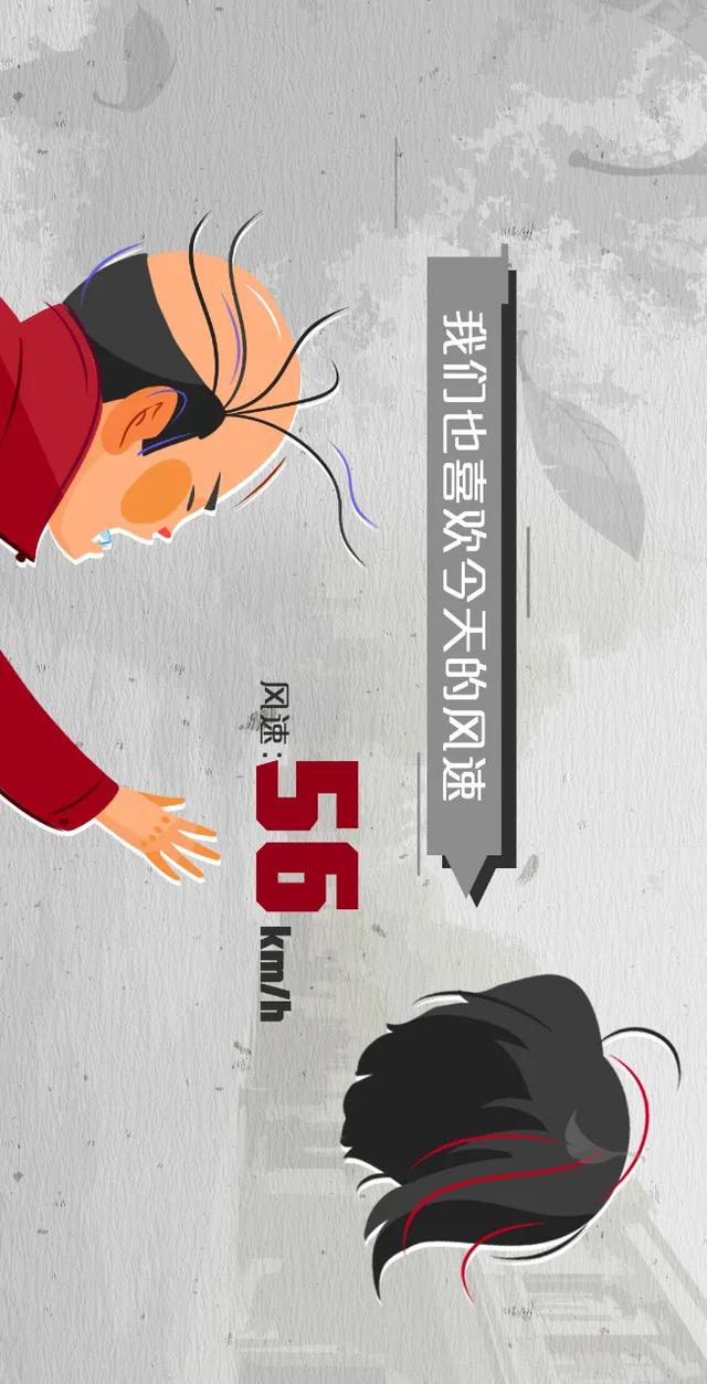今天的风真大!