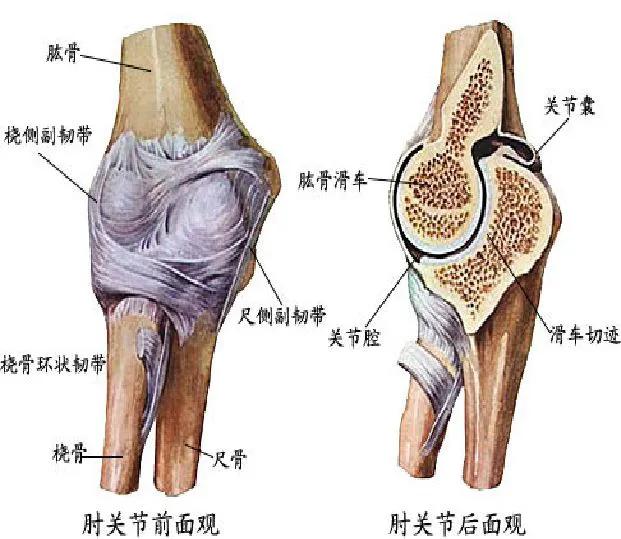 打游戏也会得网球肘你竟然还不知道