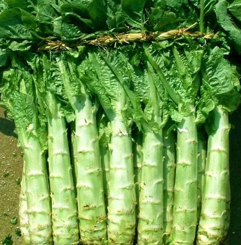 一道家常简单美味好吃又下饭的凉拌莴笋