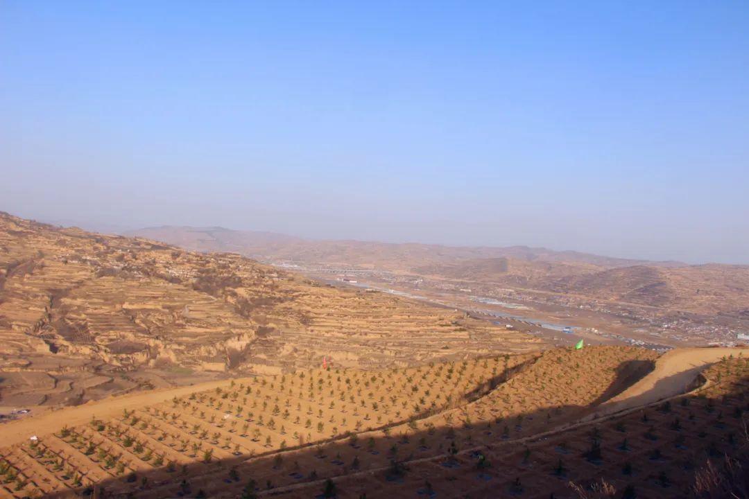 甘肃庄浪县朱店镇:抢春植绿齐发力,美丽朱店焕新颜