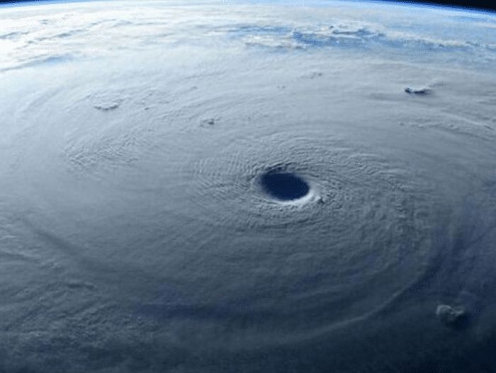 每天能喝掉3万吨海水,就连专家也难以解释