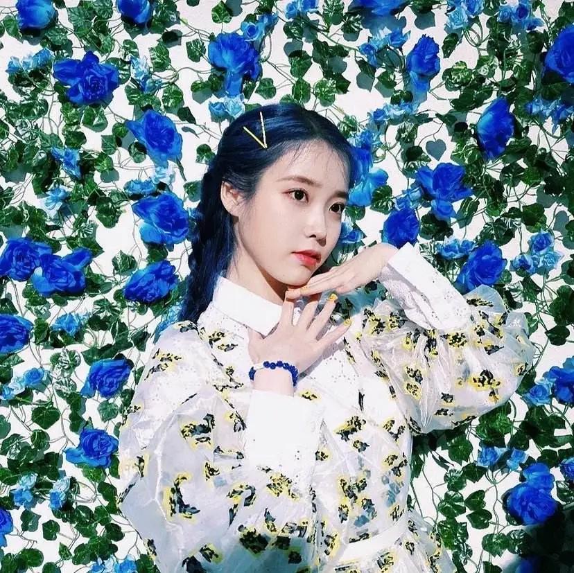 iu李知恩再捐3亿韩元与物资,至今已为灾区捐款五次