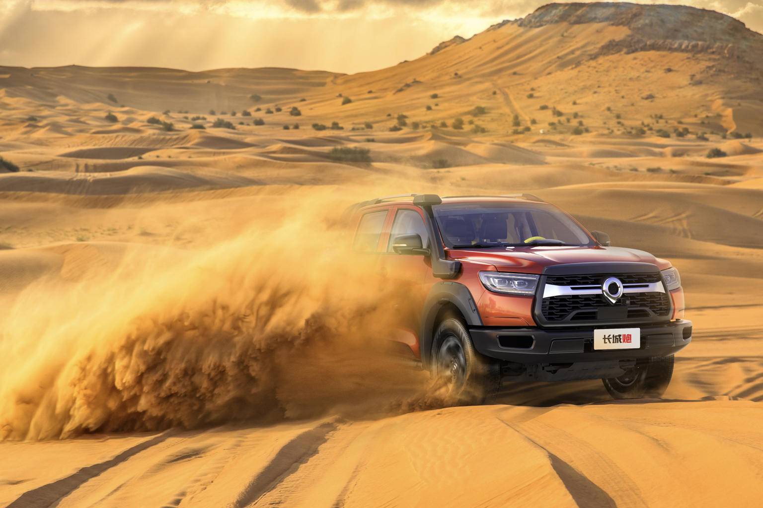 白色长城炮有哪些车型 黑钻炮价格表2025