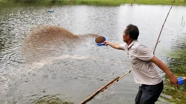 把握这4点,野外打窝不再难