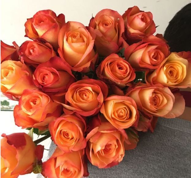 喜欢菊花,不如养盆"精品玫瑰"金辉,花开万众瞩目,美不胜收!