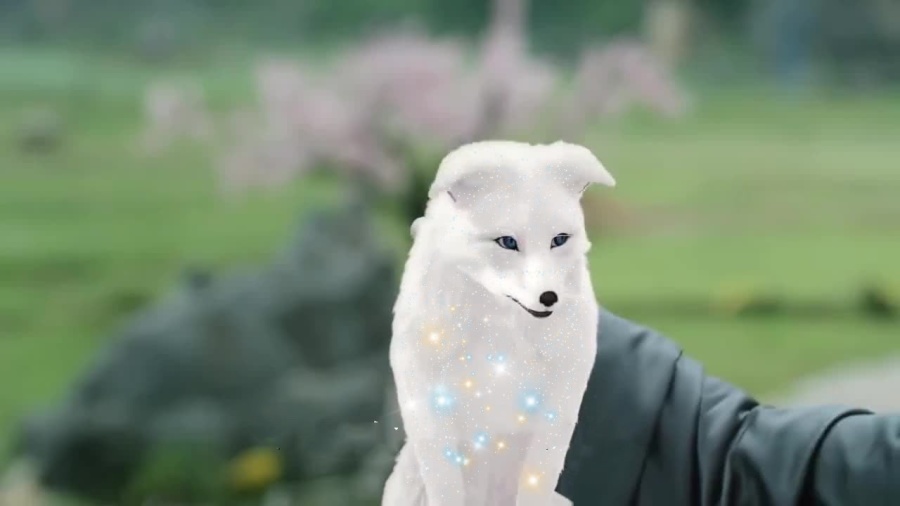 《三生三世枕上书》白滚滚真身之谜揭晓,他才是帝君