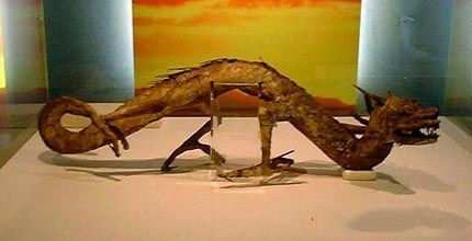 未解之谜:日本瑞龙寺的龙标本,究竟是真是假?