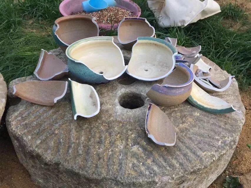 别人丢的破花盆,捡回家洗洗刷刷,简单的一打理,养多肉非常棒