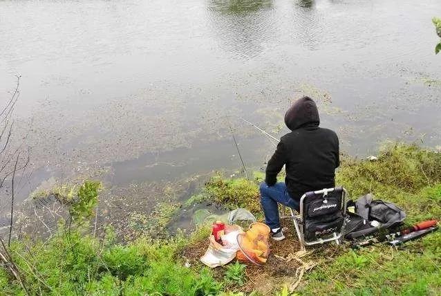 春钓鲫鱼6大妙招 连竿中鱼根本停不下来 手机新浪网