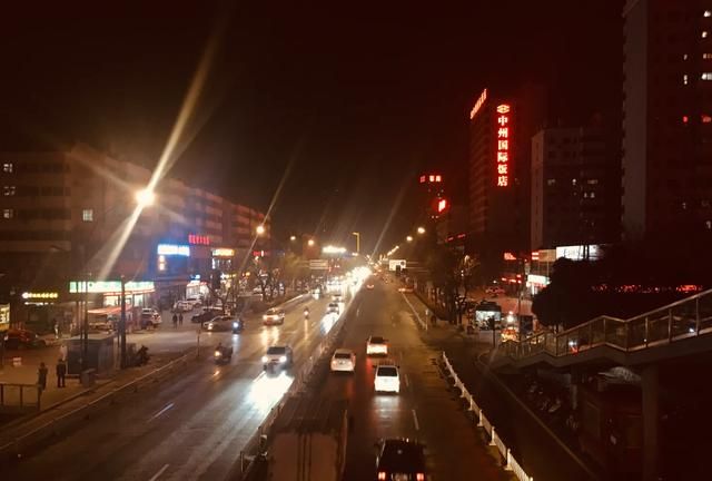 洛阳城有个东花坛,一条鱼游了18年!