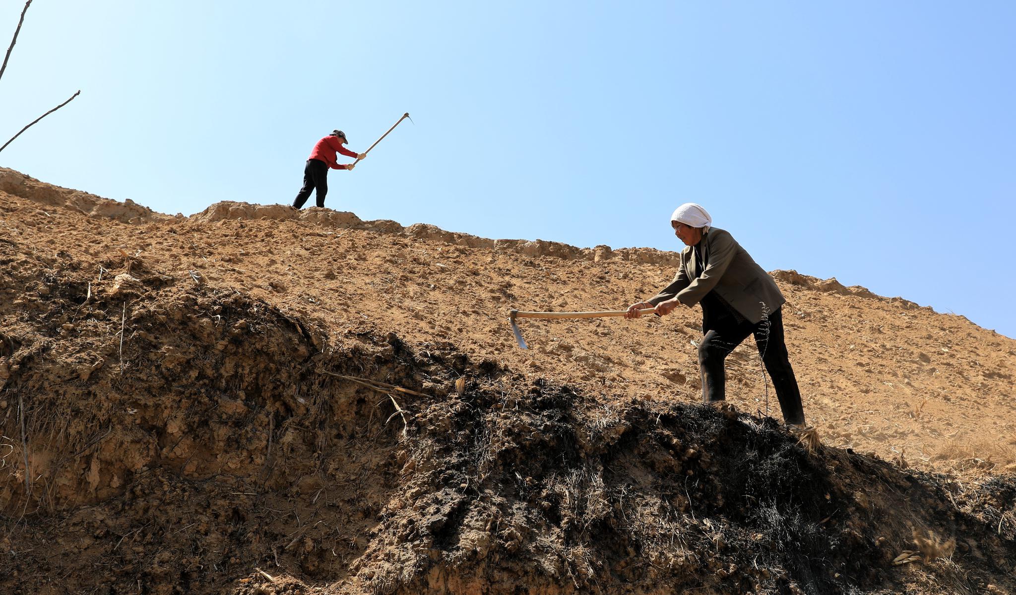 黄土地上勤劳的庄稼人