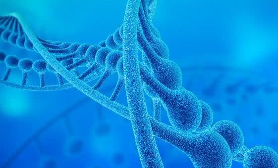 科学家在人类DNA发现隐藏的特殊密码,人类是外星人“试验品”?|人类|外星人|科学家_新浪新闻
