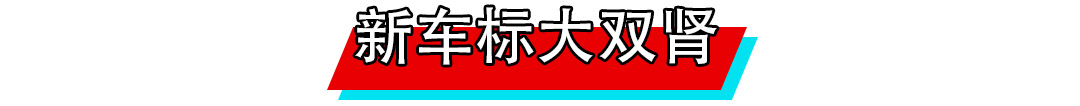 巨大双肾+换标！宝马新车越来越霸气了！