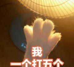 (风象星座篇)十二星座玩起游戏是什么样子的?