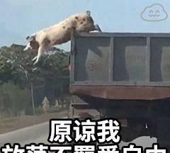 (风象星座篇)十二星座玩起游戏是什么样子的?