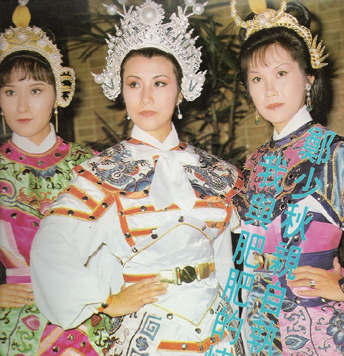 这部剧除汪明荃和夏雨外,冯宝宝,石修,程可为,白茵,罗兰,陈嘉仪等tvb