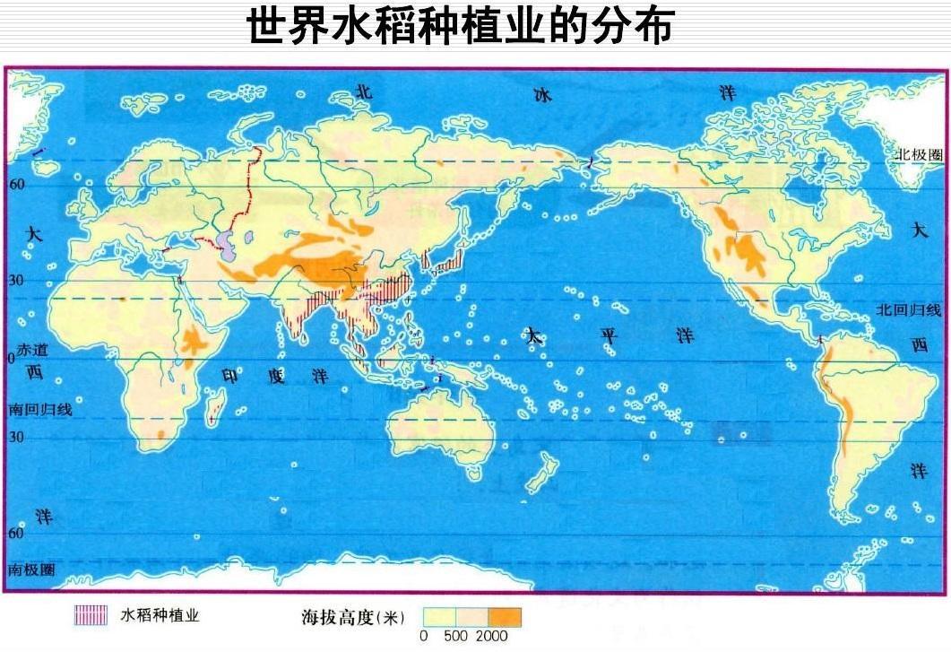 你知道水稻种植业商品谷物农业和热带种植园农业之间的异同吗
