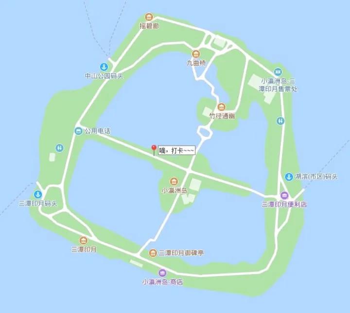 樱花界的熊猫绿樱花开了三潭印月免票中欢迎大家去看