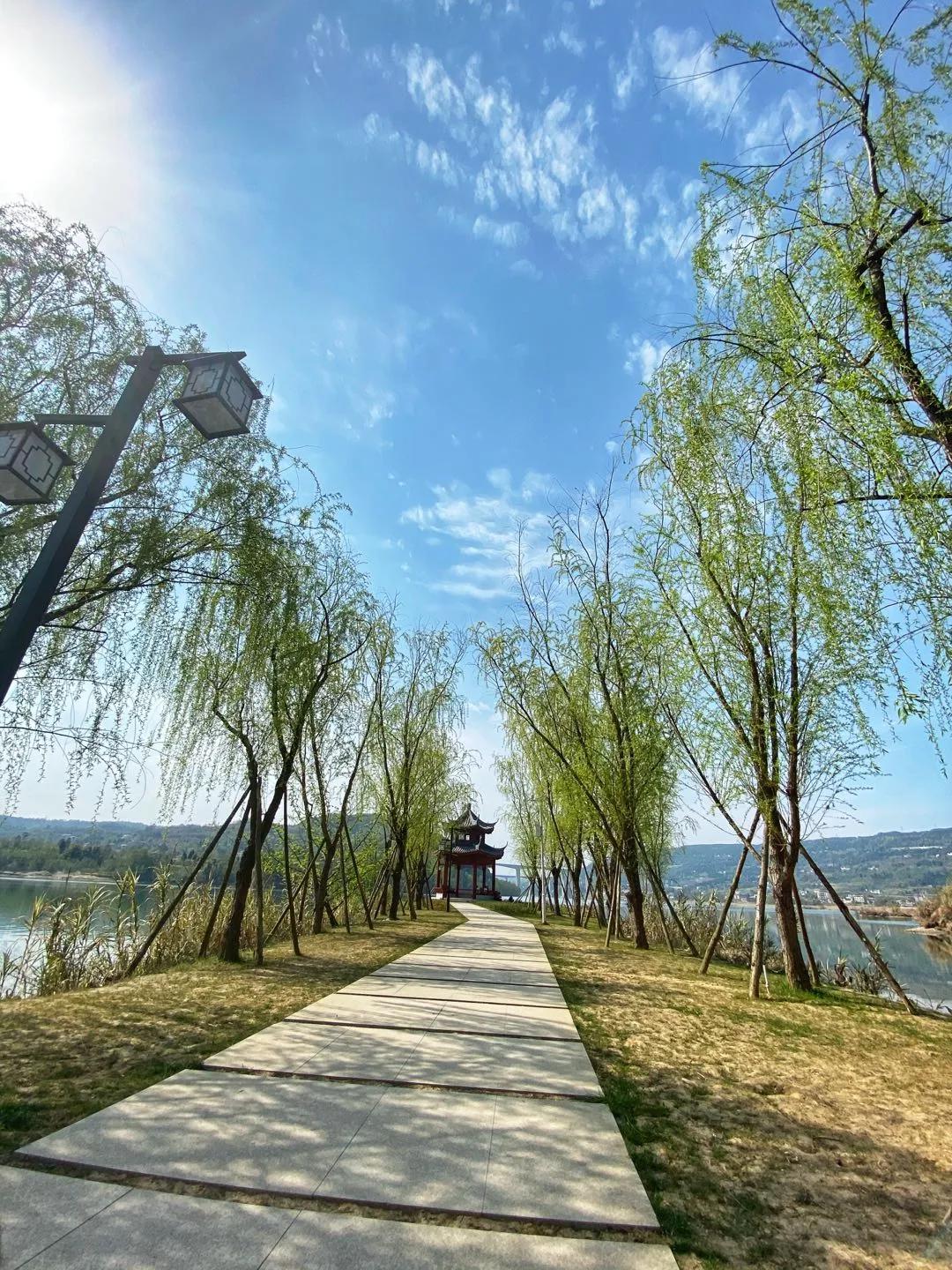 正文   行车路线:梨博园出园右转300米即可到达梨仙湖湿地公园   滩涂