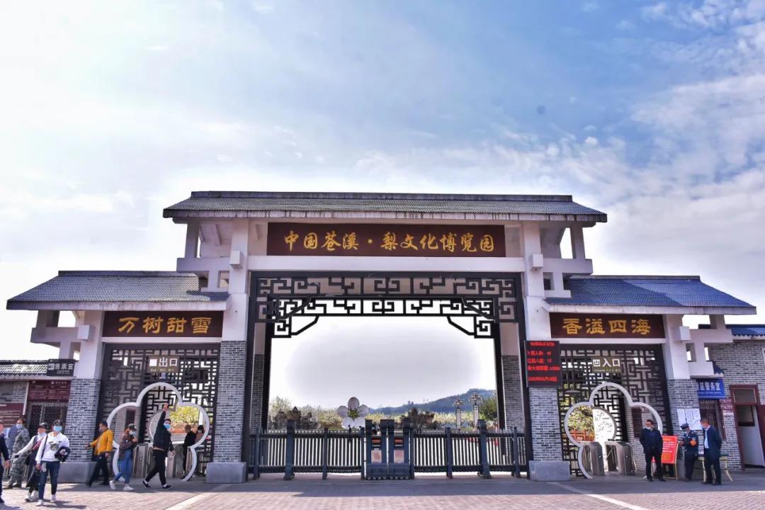 只有一天时间,怎么玩转苍溪?