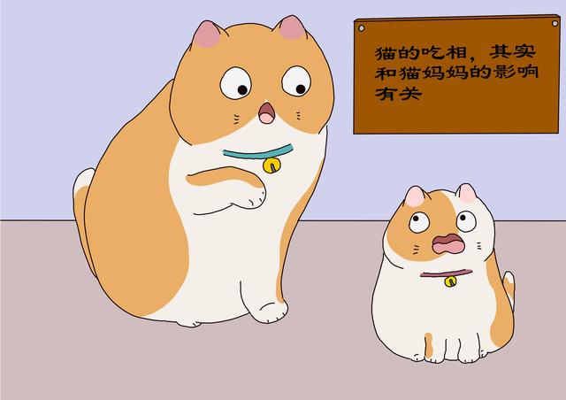 猫的吃相,和猫妈妈的影响有关,猫已有的习惯不易改