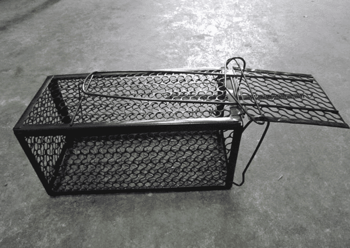 小伙用捕鼠器抓老鼠, 不料碰到硬茬,小伙蒙了__财经头条