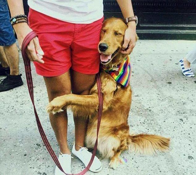 如果狗狗有这6个行为,说明已经把自己当"人"了,你家狗有吗?