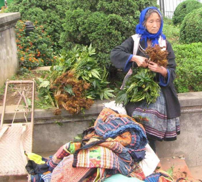越南北部山区的农民,比中国山村贫穷,但女人很勤劳