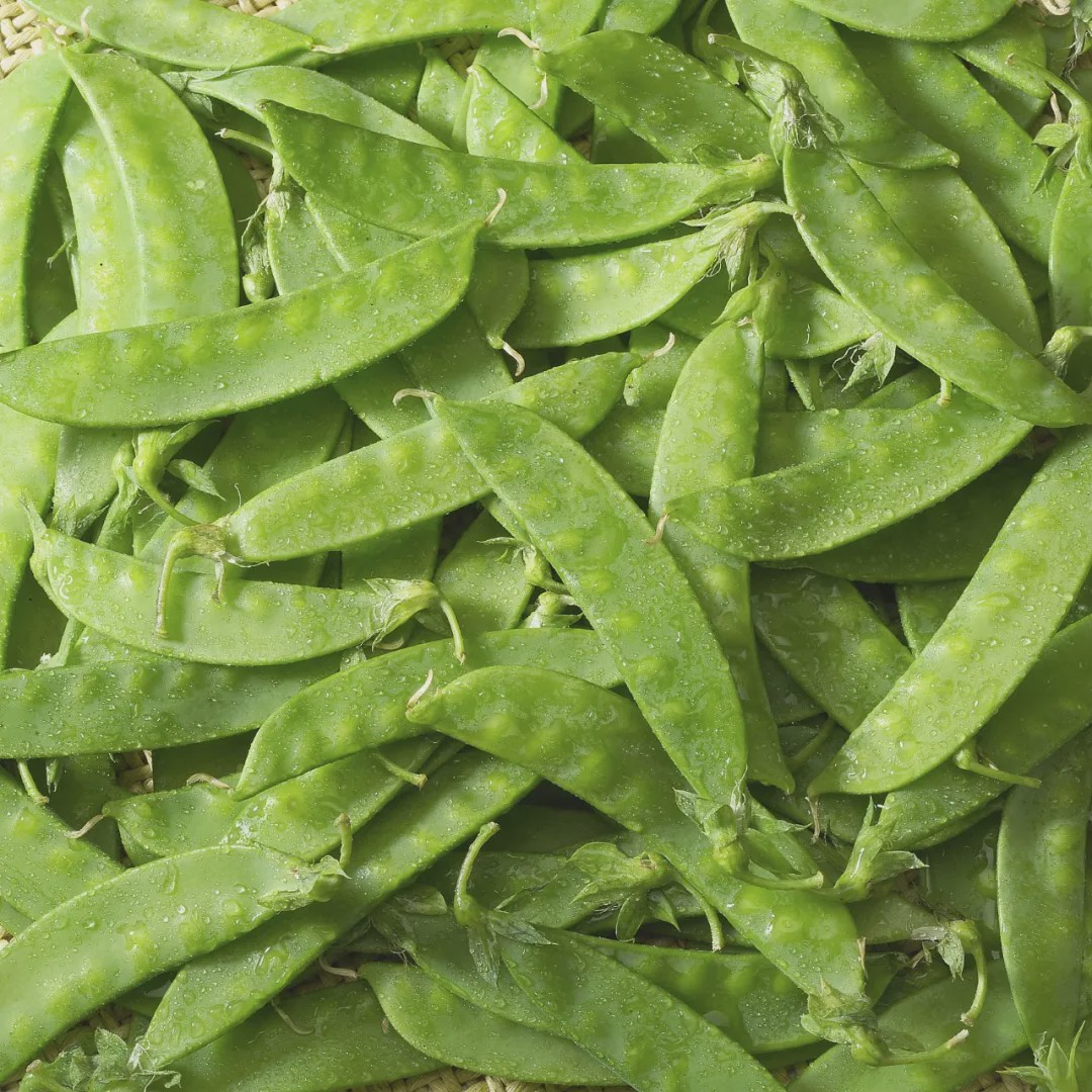 而甜豆则是豌豆和荷兰豆的杂交产物,看着很像豌豆,但豆荚肉厚清脆
