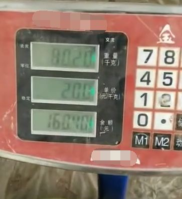 农夫在西瓜田里找到"瓜王",夫妻两人称重,看到数字后不淡定了