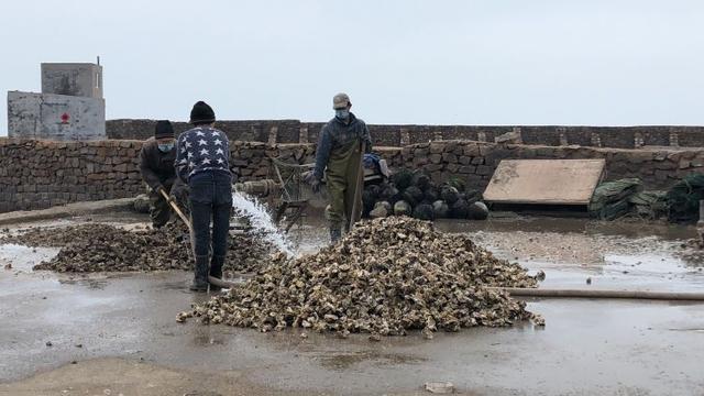 产地几十万斤卖不动,市场却卖3元一个,网友:反正吃不起