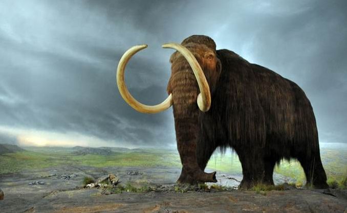 5种可能被复活的远古生物你认识哪几种