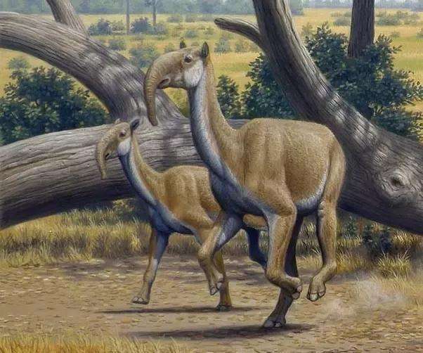 鼻子像大象脖子像长颈鹿身体像骆驼蹄子像犀牛的史前动物