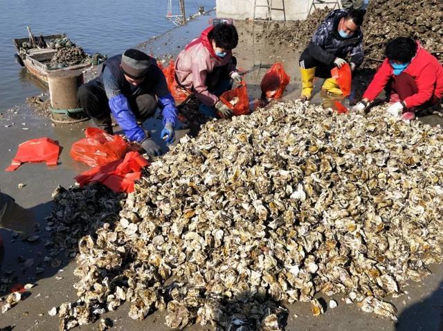 产地几十万斤卖不动,市场却卖3元一个,网友:反正吃不起